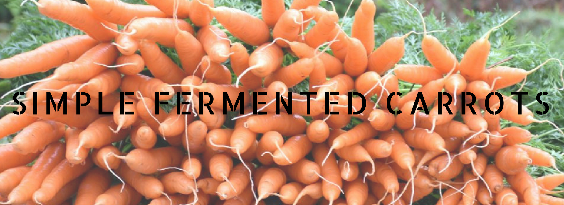 Simple Fermented Carrots Recipe