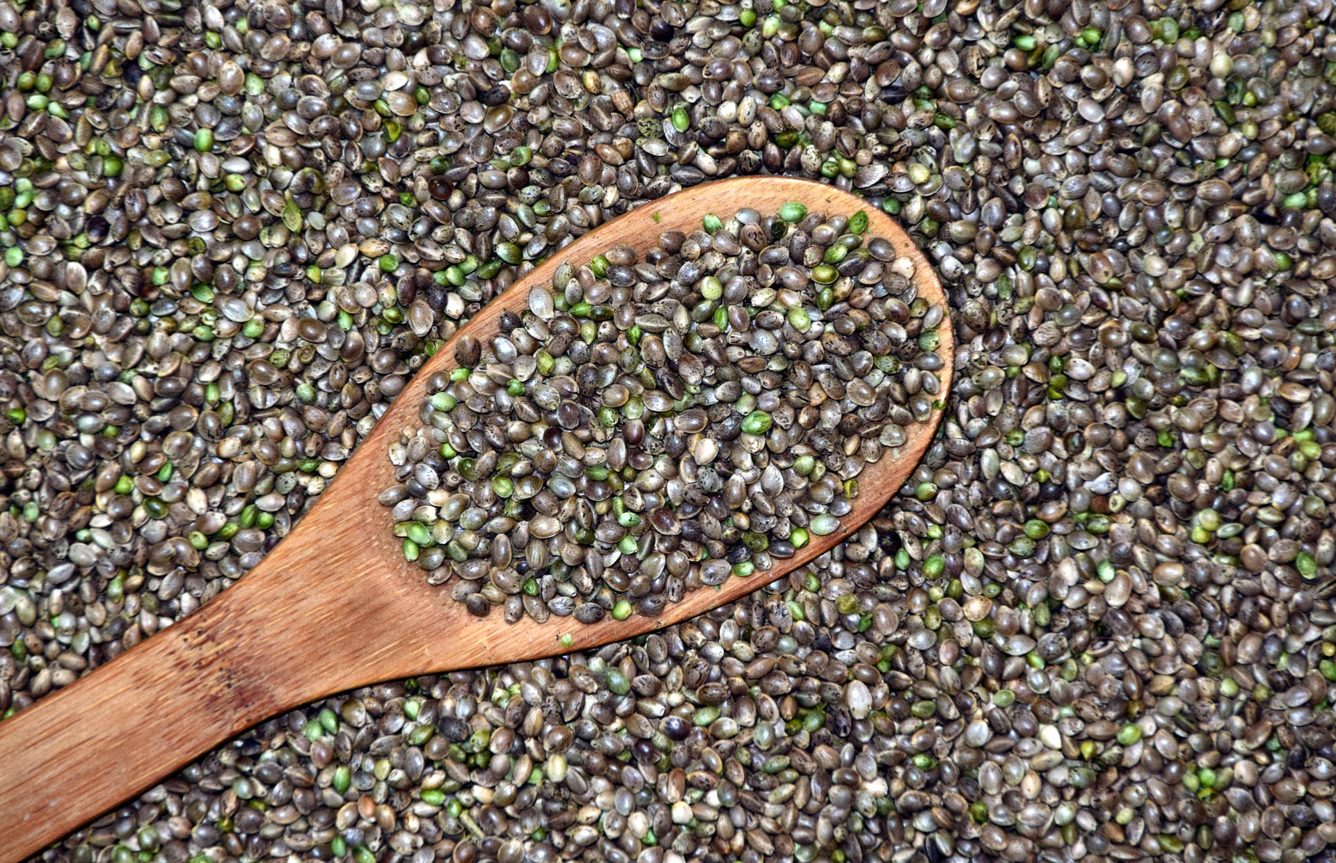 Hemp Seeds Health Benefits: Science Based Reasons to Eat Them