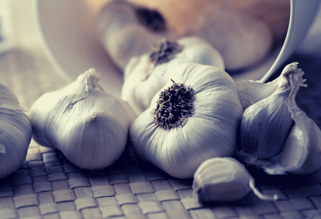 Garlic oxymel recipe for colds, coughs and sore throats: cheap and easy to make at home.